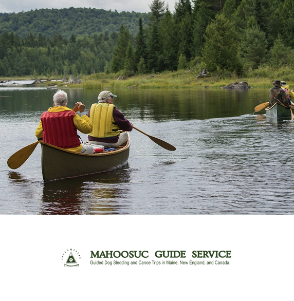activity logo