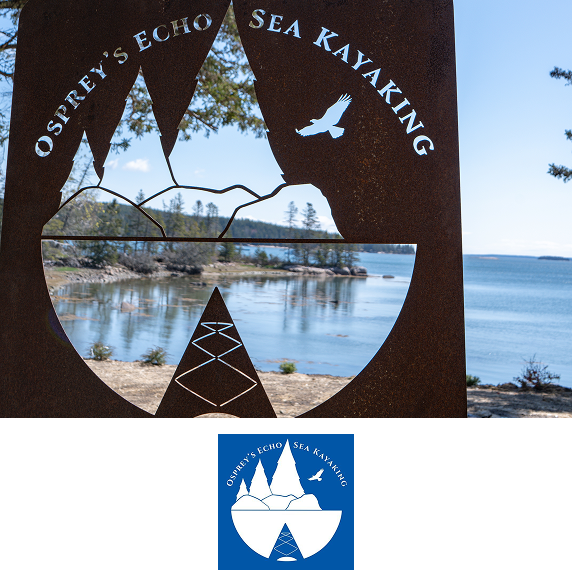 activity logo